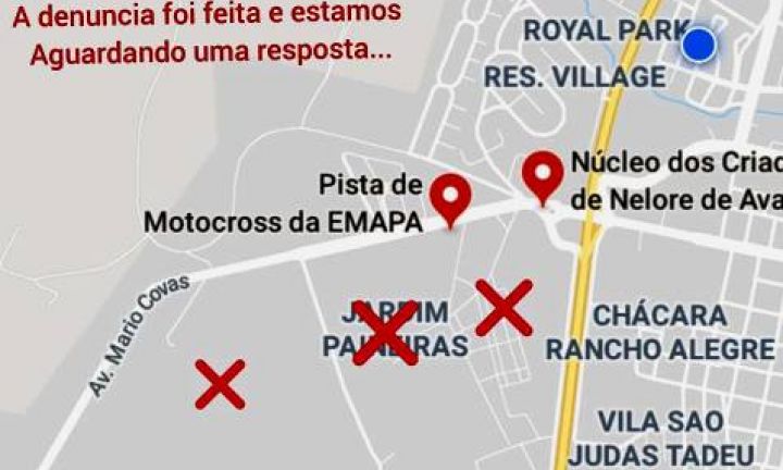 Animais estariam sendo envenenados em Avaré