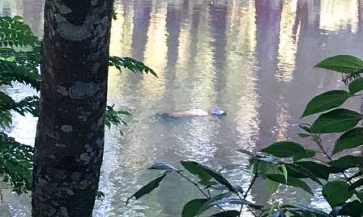 Corpo encontrado em lago do Horto é de jovem desaparecido