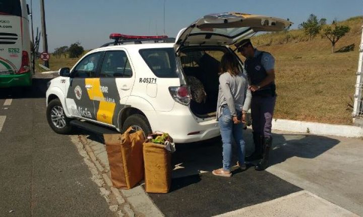 TOR prende boliviana com mais de 15 kg de cocaína pura