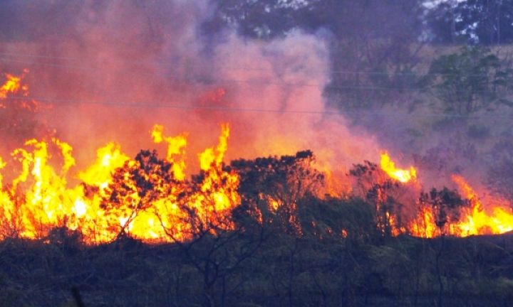 Número de denúncias de queimadas em terrenos aumenta em Avaré