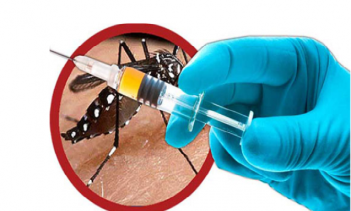 Avaré ainda não recebeu vacina contra a dengue, esclarece Saúde