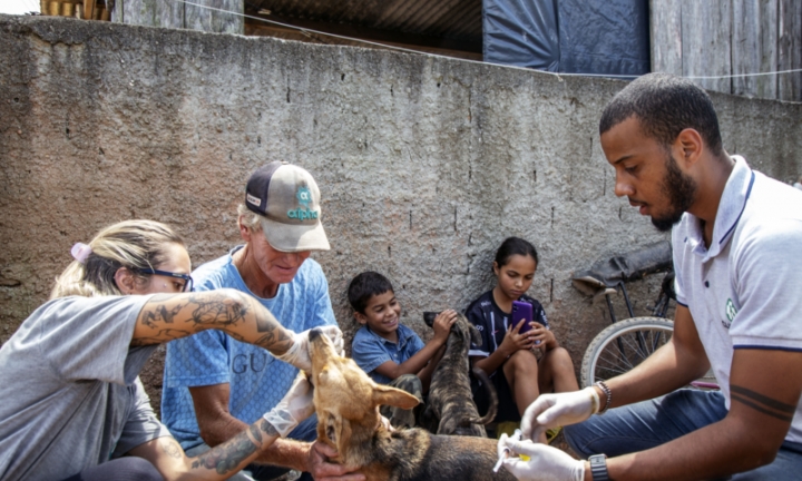 Projeto prevê vacina gratuita para animais domésticos em vulnerabilidade
