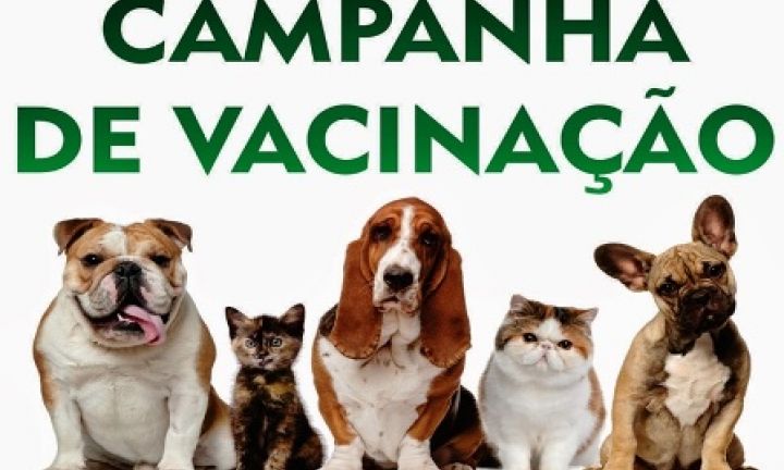 Raiva animal: Vacinação será de 17 a 22 de setembro