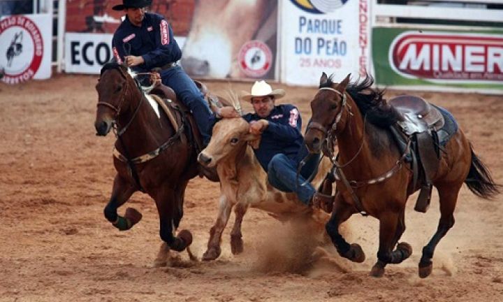 Projeto polêmico envolvendo animais deve ser votado nesta segunda