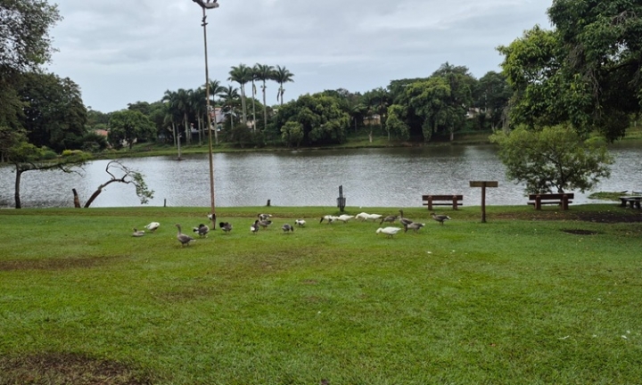 Corrida do Trabalhador acontece nesta sexta, 1º de maio, a partir das 8 horas
