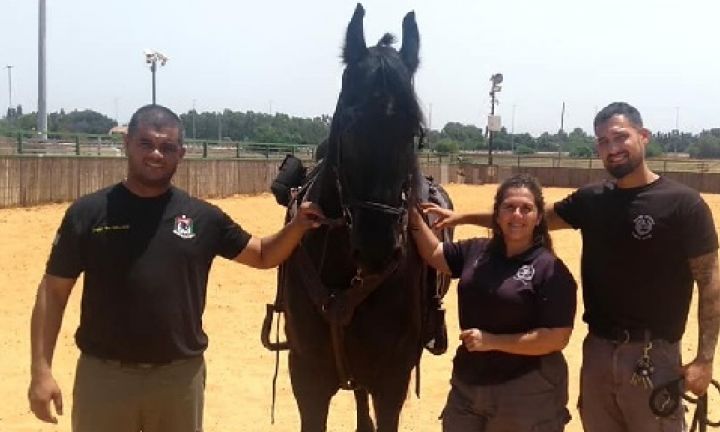 Comandante da Polícia Montada de Avaré visita base da cavalaria de Israel