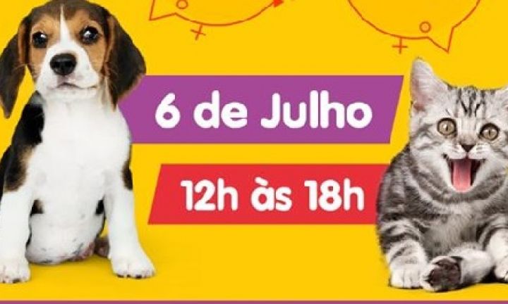 Dia 6 de julho tem Feira de Adoção de Pets em Avaré