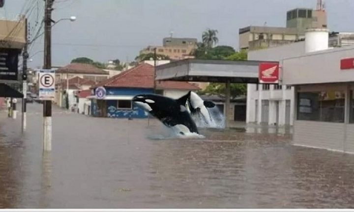 Problema das enchentes vira meme em Avaré