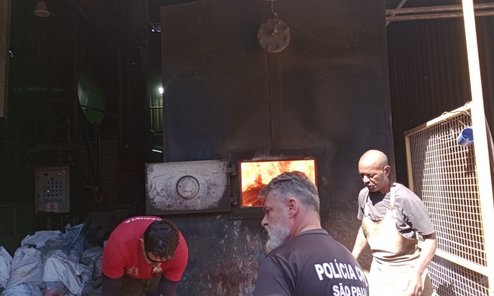 Polícia Civil incinera mais de 820 quilos de drogas em Avaré
