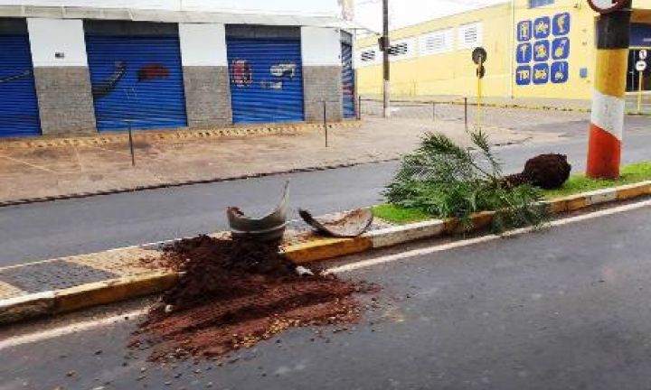 Câmeras flagram ação de vândalo em Avaré