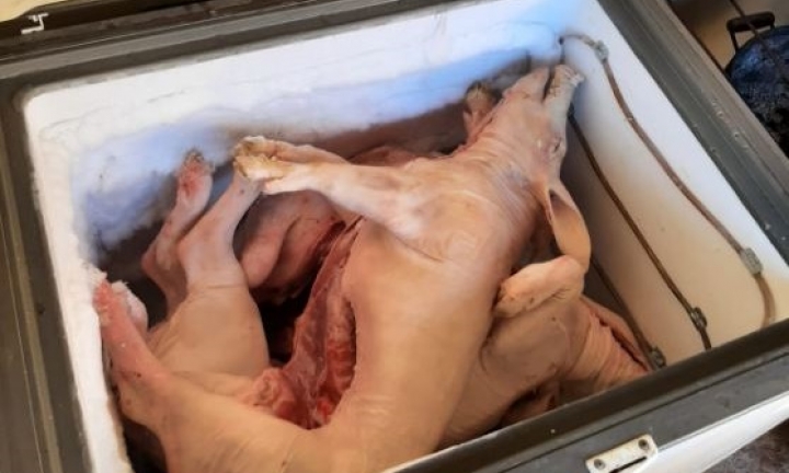 Tráfico de drogas e comércio ilegal de carne são alvos de operação da Polícia Civil