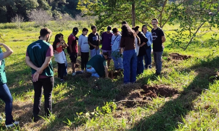 Alunos participam do plantio de mudas nativas no Horto Florestal