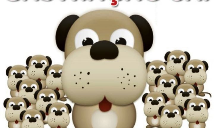 Audiência Pública discute castração de pequenos animais e posse responsável
