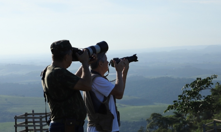 Botucatu promove observação de aves em reserva natural, dia 27, domingo
