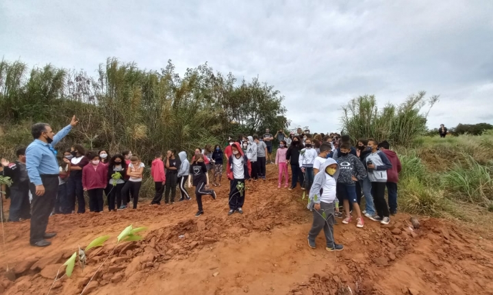 Alunos de escolas municipais plantam árvores em área de recuperação ambiental