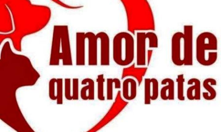 Amor de Quatro Patas necessita de ajuda