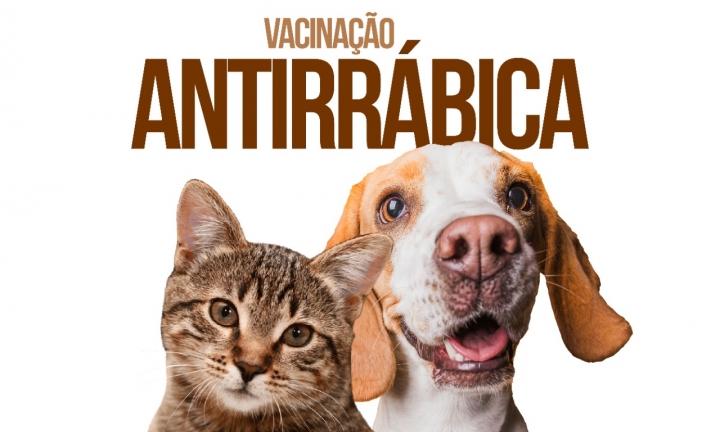 Vacinação contra raiva acontece nesta terça-feira, 18, no Terras de São José