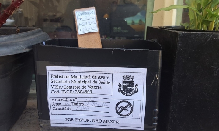 Vigilância Sanitária instala armadilhas para captura de ovos do Aedes aegypti
