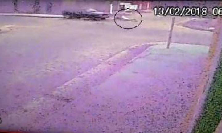 Motorista que atropelou idosa responderá em liberdade