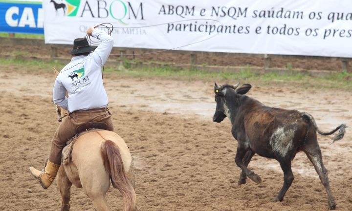 Audiência discute nesta quarta, lei que regulamenta provas com animais