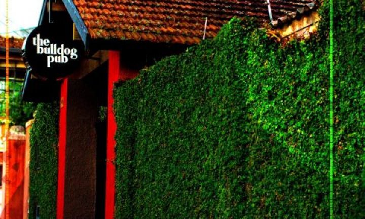 The Bulldog Pub inaugura nesta quinta-feira