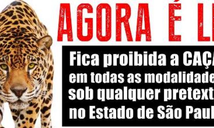 Caça de animais está proibida em todo o Estado de São Paulo