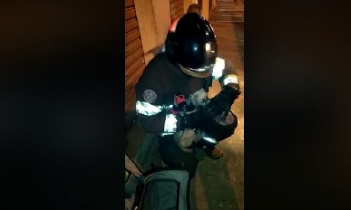 Bombeiros salvam cachorrinha em incêndio a residência