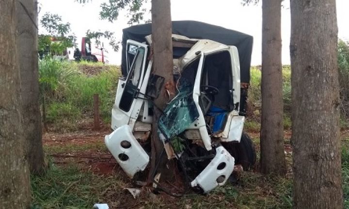 Motorista fica gravemente ferido após caminhão bater em árvore