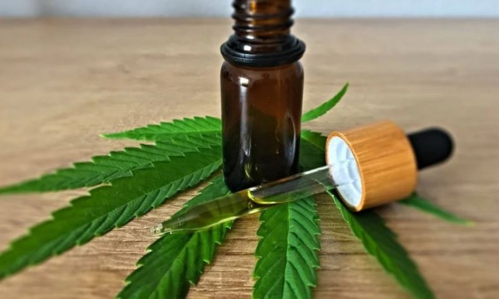 Cannabis medicinal estará disponível no SUS a partir de maio em SP