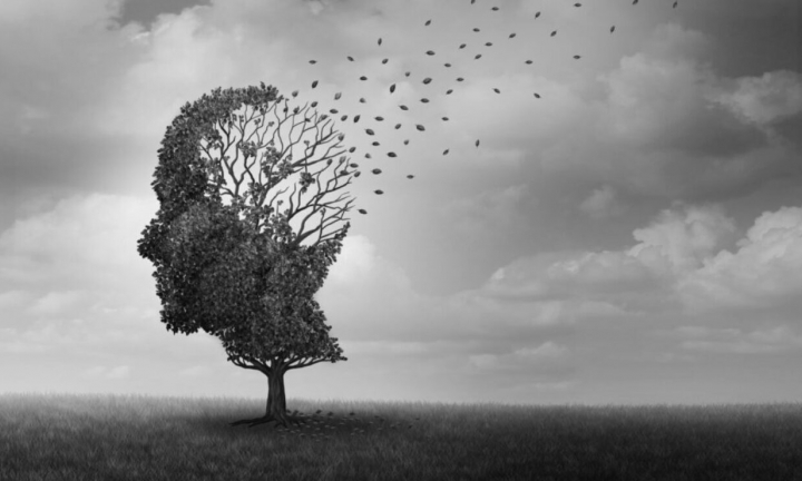 Projeto aprovado cria o Dia da Conscientização sobre a Doença de Alzheimer
