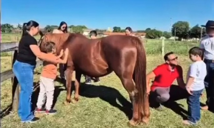 Prefeitura esclarece sobre o Projeto de Equoterapia no Recinto da EMAPA