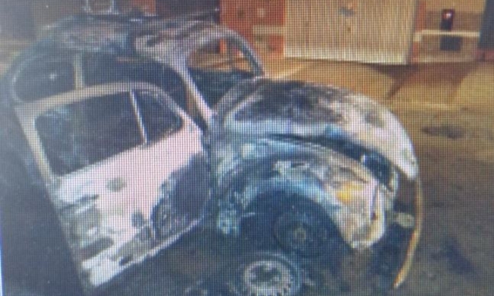 Homem ateia fogo no carro do pai com cadela e cinco filhotes dentro