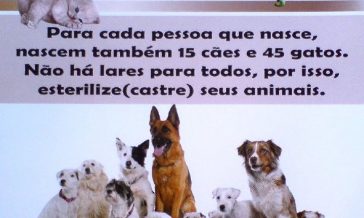 Ernesto Albuquerque pede audiência pública para tratar da castração de animais