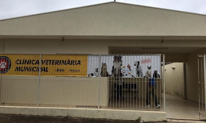 Clínica Veterinária reabre em outubro agendamento para castrações