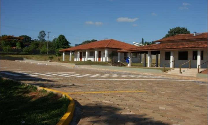 Grupo Verdes do Bem realiza plantio de árvores nativas e frutíferas em Avaré