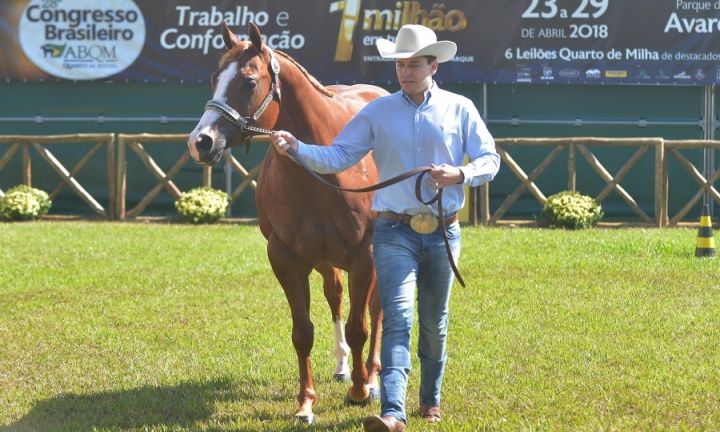 ABQM confirma Avaré como sede do 29º Congresso Brasileiro