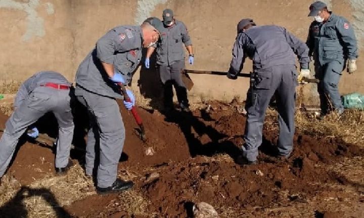 Polícia Civil encontra corpo de homem vítima de latrocínio em Avaré