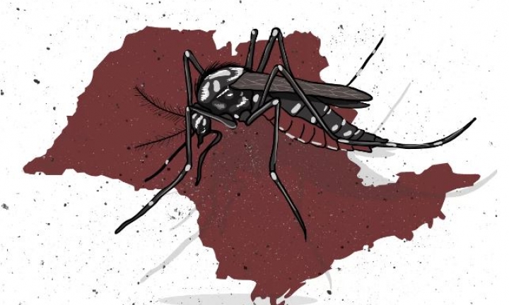 Governo decreta estado de emergência para dengue em São Paulo