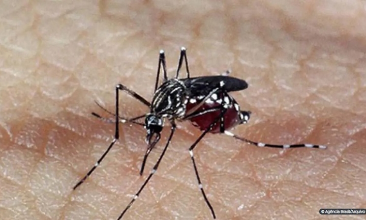 Já passa de 100 o número de casos positivos de dengue em Avaré