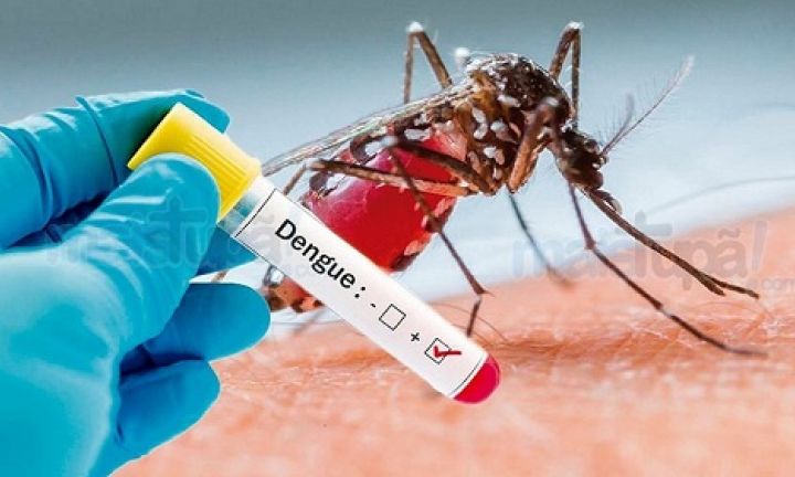 Avaré já registrou 10 casos positivos de dengue este ano
