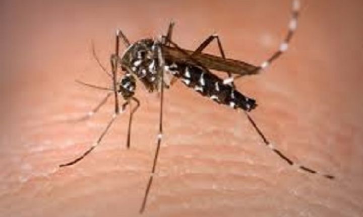Vigilância Epidemiológica confirma um caso de dengue em Avaré