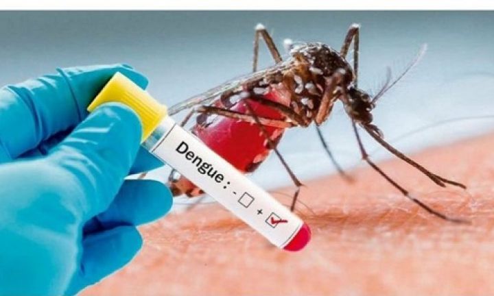 Avaré registra maior número de casos de dengue da microrregião