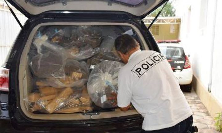 Polícia Civil incinera mais de 290 quilos de drogas