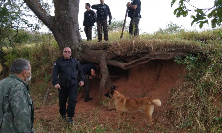 Com cães farejadores, Polícia prende 4 por tráfico em Avaré