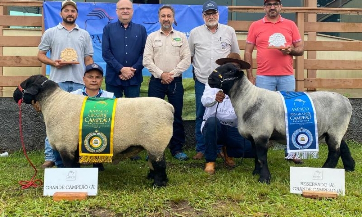 55ª EMAPA consolida Avaré como polo do agronegócio e do entretenimento