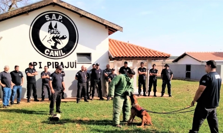 Adestradores e cães de Avaré participam de Encontro Cinotécnico da CRN