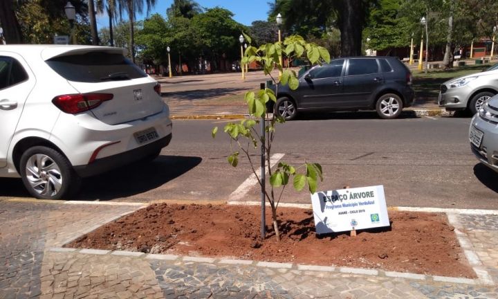 Lei estabelece parâmetros para plantio de árvores em calçadas