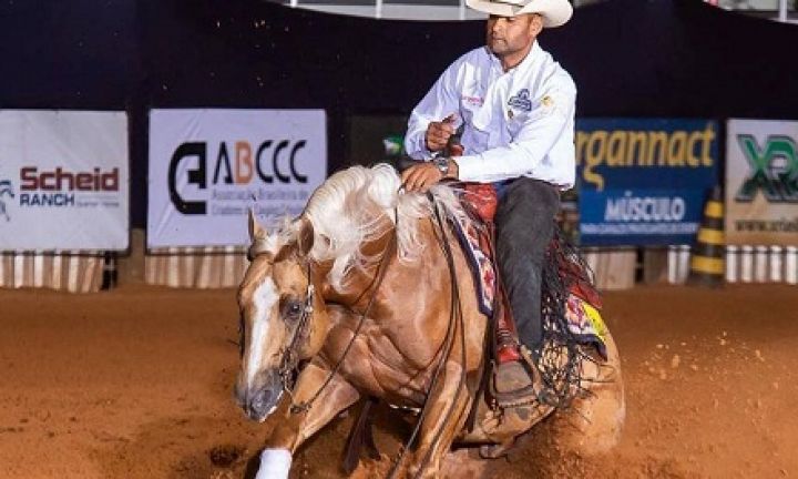 Evento da Associação Nacional do Cavalo de Rédeas começa na quarta