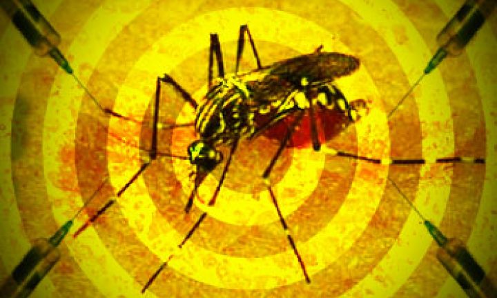 Avaré registra um caso importado de febre amarela