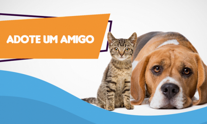 HVET Eduvale promoverá primeira feira de adoção de cães e gatos